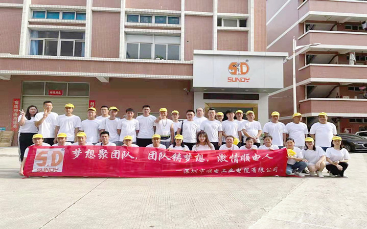 “夢(mèng)想聚團(tuán)隊(duì)，團(tuán)隊(duì)鑄夢(mèng)想”順電2021年旅游圓滿結(jié)束